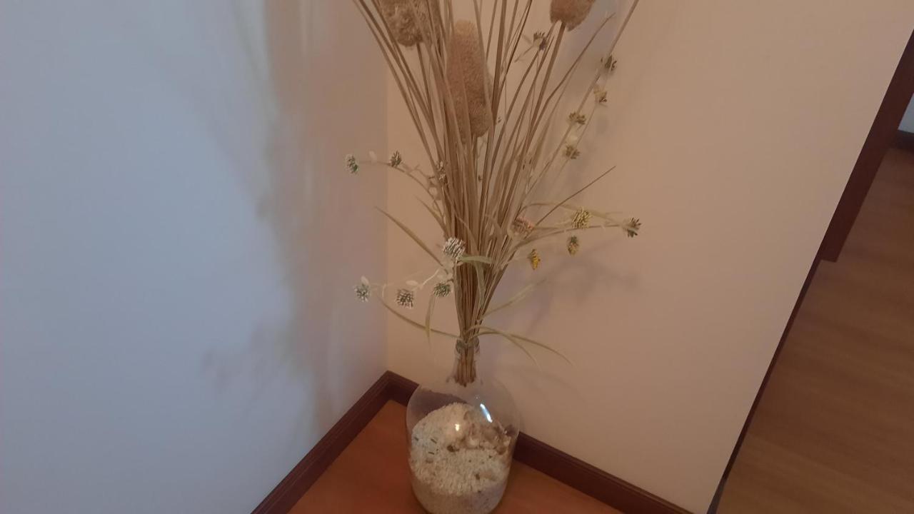Ana Paula House Apartman Aveiro Kültér fotó